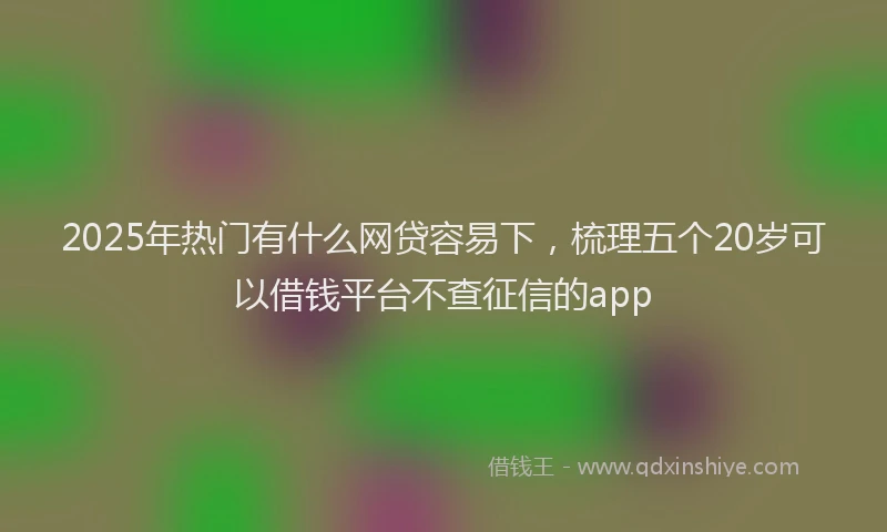 2025年热门有什么网贷容易下，梳理五个20岁可以借钱平台不查征信的app