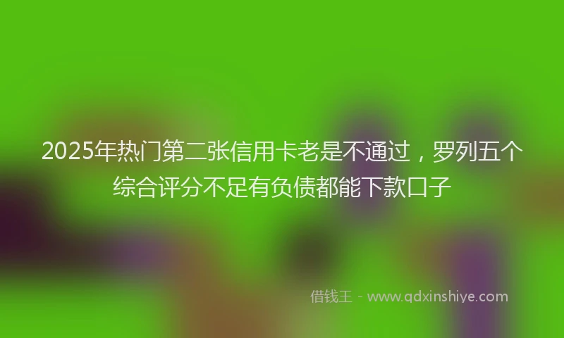 2025年热门第二张信用卡老是不通过，罗列五个综合评分不足有负债都能下款口子