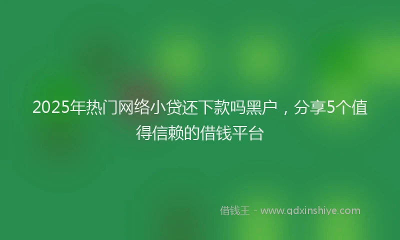 2025年热门网络小贷还下款吗黑户，分享5个值得信赖的借钱平台