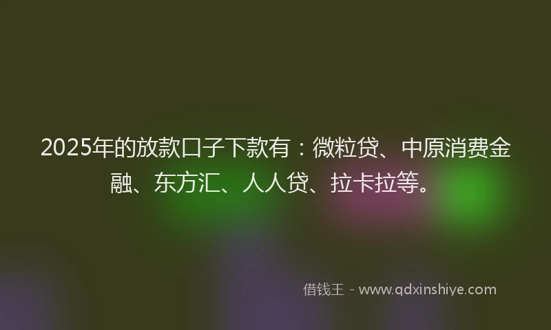 2025年的放款口子下款有：微粒贷、中原消费金融、东方汇、人人贷、拉卡拉等。