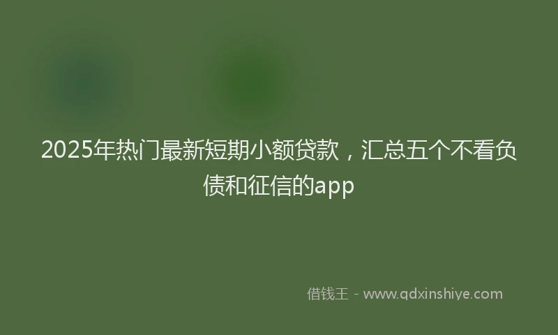 2025年热门最新短期小额贷款，汇总五个不看负债和征信的app