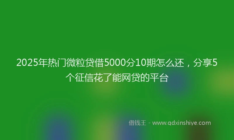 2025年热门微粒贷借5000分10期怎么还，分享5个征信花了能网贷的平台