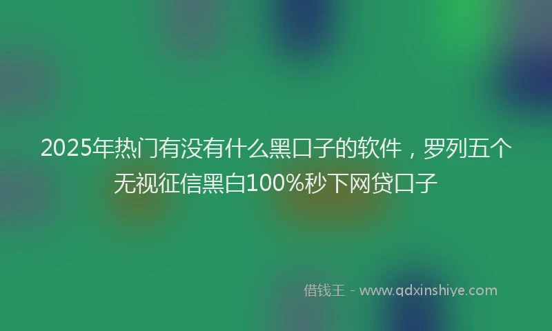 2025年热门有没有什么黑口子的软件，罗列五个无视征信黑白100%秒下网贷口子