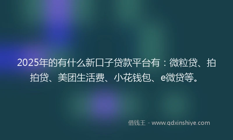 2025年的有什么新口子贷款平台有：微粒贷、拍拍贷、美团生活费、小花钱包、e微贷等。