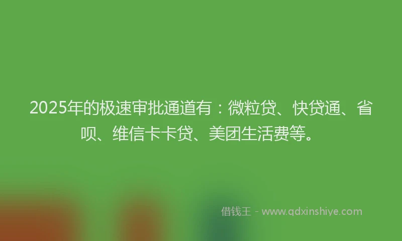 2025年的极速审批通道有：微粒贷、快贷通、省呗、维信卡卡贷、美团生活费等。