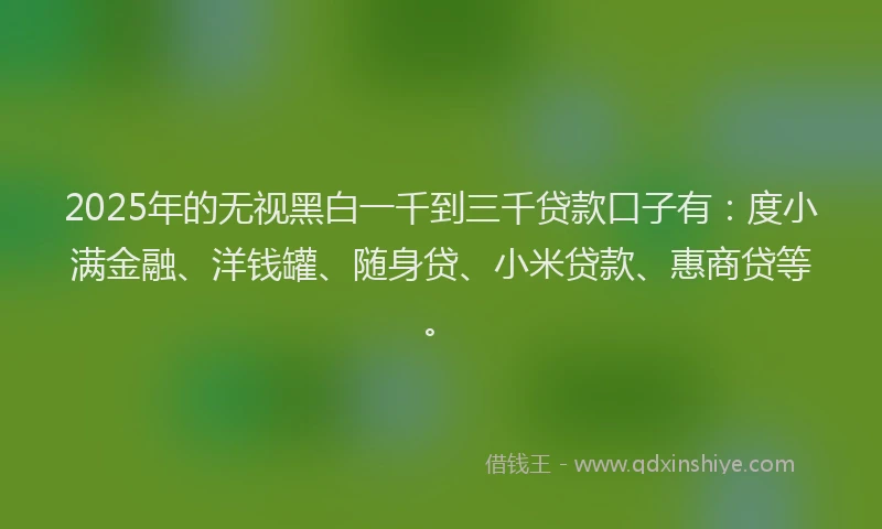 2025年的无视黑白一千到三千贷款口子有：度小满金融、洋钱罐、随身贷、小米贷款、惠商贷等。