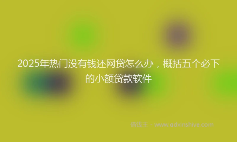 2025年热门没有钱还网贷怎么办，概括五个必下的小额贷款软件
