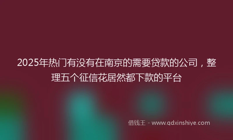 2025年热门有没有在南京的需要贷款的公司，整理五个征信花居然都下款的平台