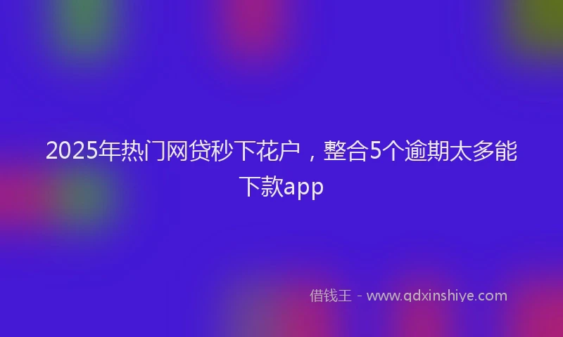 2025年热门网贷秒下花户，整合5个逾期太多能下款app
