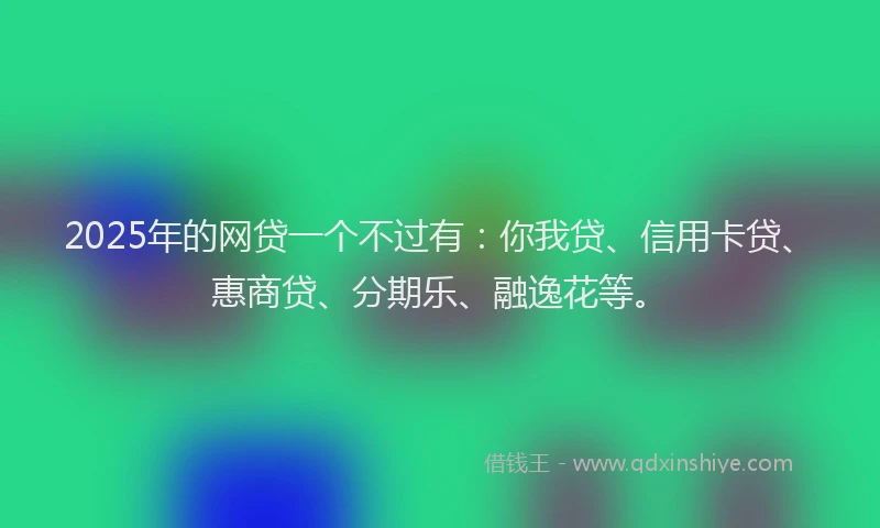 2025年的网贷一个不过有：你我贷、信用卡贷、惠商贷、分期乐、融逸花等。