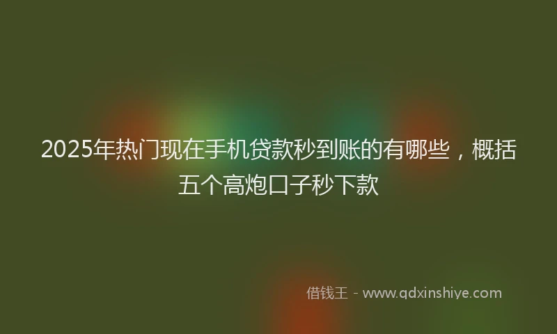 2025年热门现在手机贷款秒到账的有哪些，概括五个高炮口子秒下款