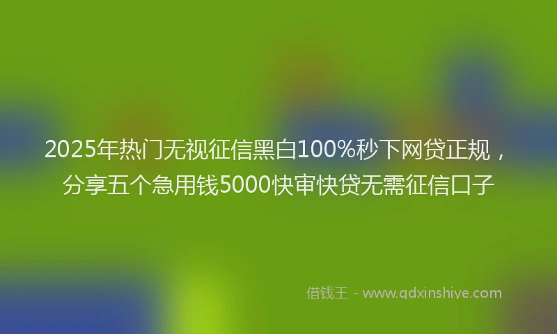 2025年热门无视征信黑白100%秒下网贷正规，分享五个急用钱5000快审快贷无需征信口子
