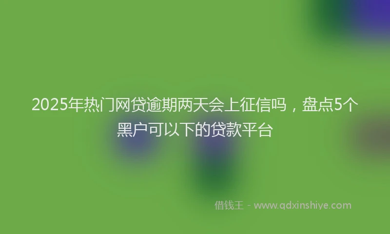2025年热门网贷逾期两天会上征信吗，盘点5个黑户可以下的贷款平台