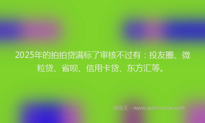 2025年的拍拍贷满标了审核不过有：投友圈、微粒贷、省呗、信用卡贷、东方汇等。