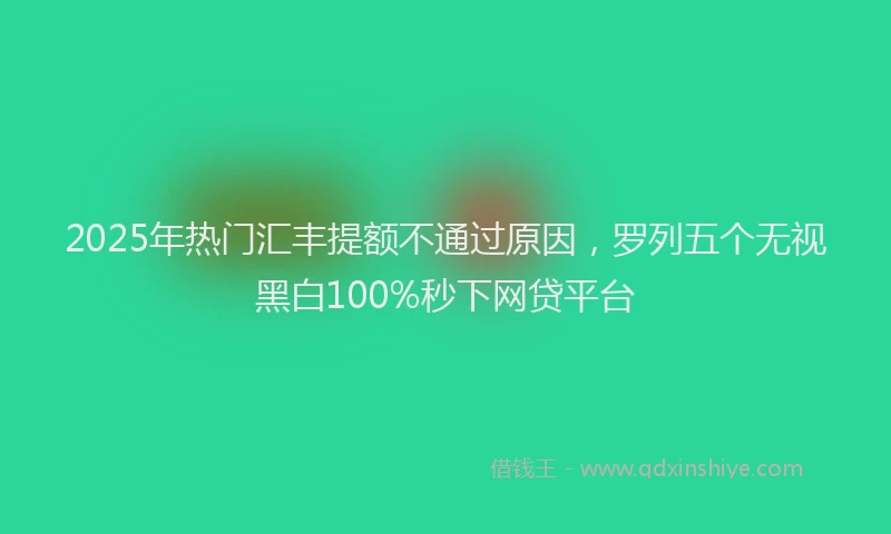 2025年热门汇丰提额不通过原因，罗列五个无视黑白100%秒下网贷平台