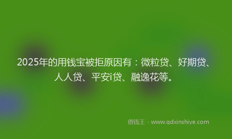 2025年的用钱宝被拒原因有：微粒贷、好期贷、人人贷、平安i贷、融逸花等。