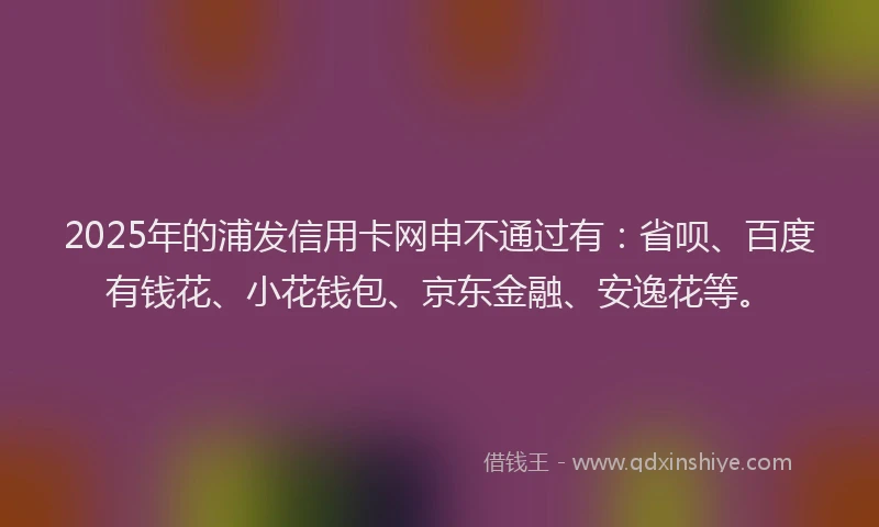 2025年的浦发信用卡网申不通过有：省呗、百度有钱花、小花钱包、京东金融、安逸花等。