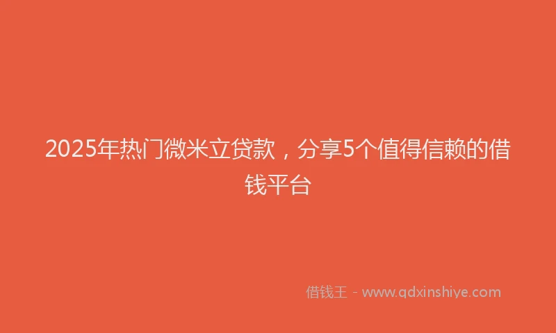2025年热门微米立贷款，分享5个值得信赖的借钱平台
