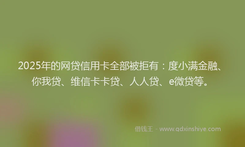 2025年的网贷信用卡全部被拒有：度小满金融、你我贷、维信卡卡贷、人人贷、e微贷等。