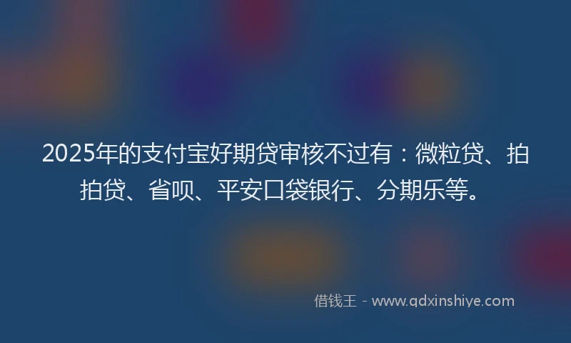2025年的支付宝好期贷审核不过有：微粒贷、拍拍贷、省呗、平安口袋银行、分期乐等。