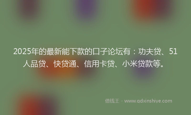 2025年的最新能下款的口子论坛有：功夫贷、51人品贷、快贷通、信用卡贷、小米贷款等。