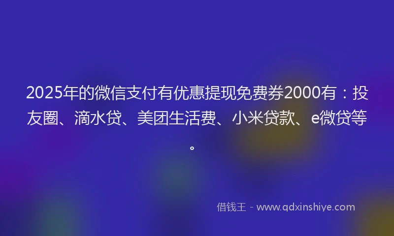 2025年的微信支付有优惠提现免费券2000有：投友圈、滴水贷、美团生活费、小米贷款、e微贷等。