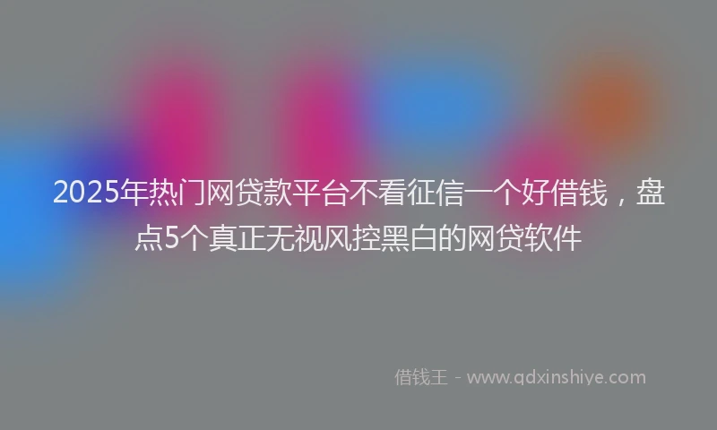 2025年热门网贷款平台不看征信一个好借钱，盘点5个真正无视风控黑白的网贷软件