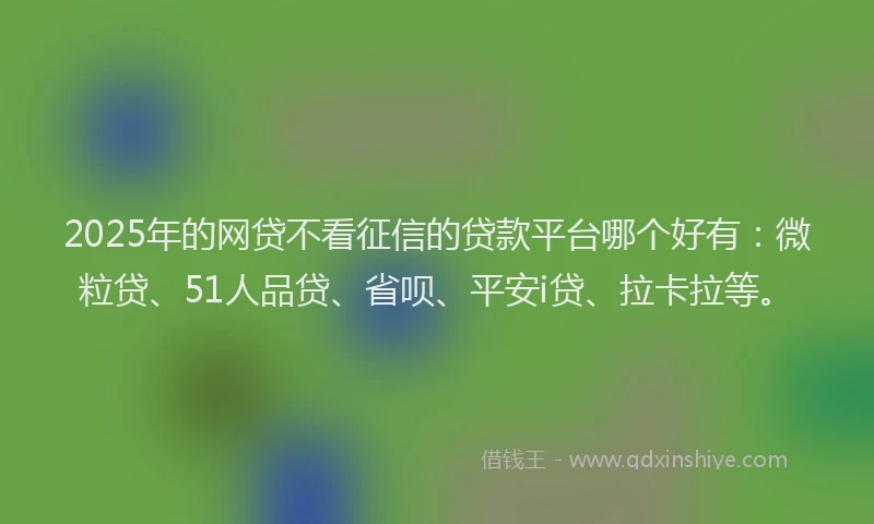 2025年的网贷不看征信的贷款平台哪个好有：微粒贷、51人品贷、省呗、平安i贷、拉卡拉等。