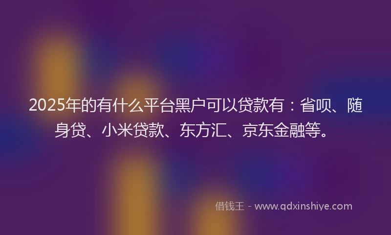 2025年的有什么平台黑户可以贷款有：省呗、随身贷、小米贷款、东方汇、京东金融等。