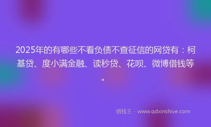 2025年的有哪些不看负债不查征信的网贷有：柯基贷、度小满金融、读秒贷、花呗、微博借钱等。