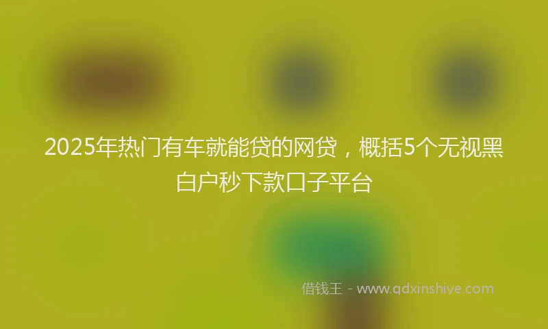 2025年热门有车就能贷的网贷，概括5个无视黑白户秒下款口子平台