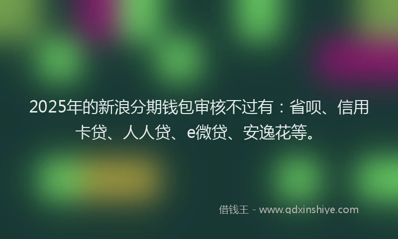 2025年的新浪分期钱包审核不过有：省呗、信用卡贷、人人贷、e微贷、安逸花等。