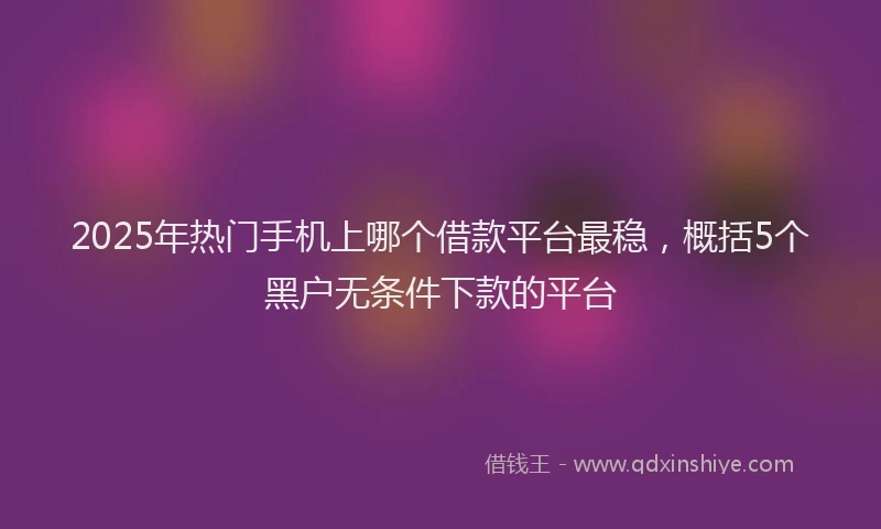 2025年热门手机上哪个借款平台最稳，概括5个黑户无条件下款的平台