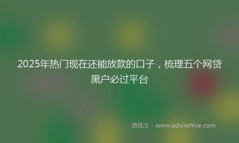 2025年热门现在还能放款的口子，梳理五个网贷黑户必过平台