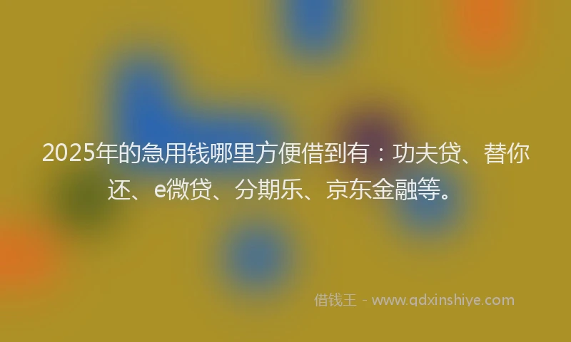 2025年的急用钱哪里方便借到有：功夫贷、替你还、e微贷、分期乐、京东金融等。
