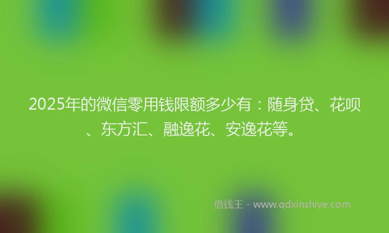 2025年的微信零用钱限额多少有：随身贷、花呗、东方汇、融逸花、安逸花等。