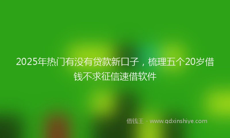 2025年热门有没有贷款新口子，梳理五个20岁借钱不求征信速借软件