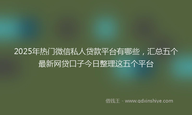 2025年热门微信私人贷款平台有哪些，汇总五个最新网贷口子今日整理这五个平台