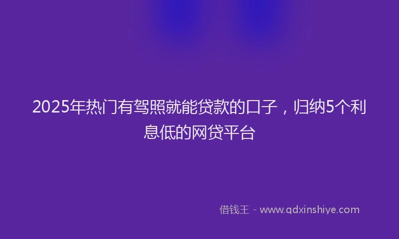2025年热门有驾照就能贷款的口子，归纳5个利息低的网贷平台