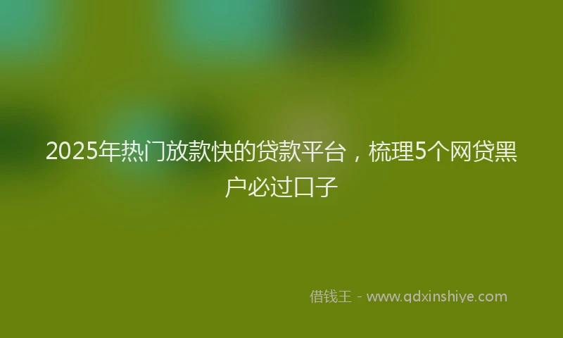 2025年热门放款快的贷款平台，梳理5个网贷黑户必过口子