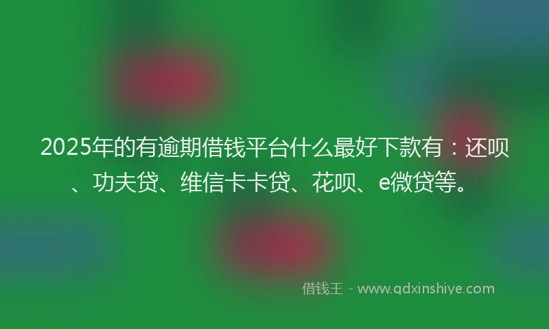 2025年的有逾期借钱平台什么最好下款有：还呗、功夫贷、维信卡卡贷、花呗、e微贷等。