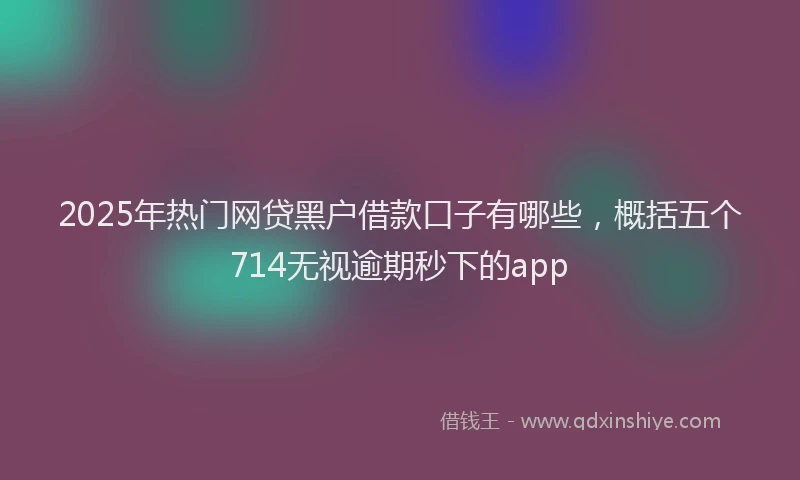 2025年热门网贷黑户借款口子有哪些，概括五个714无视逾期秒下的app