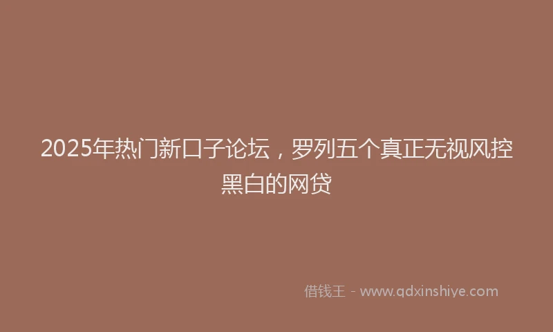 2025年热门新口子论坛，罗列五个真正无视风控黑白的网贷