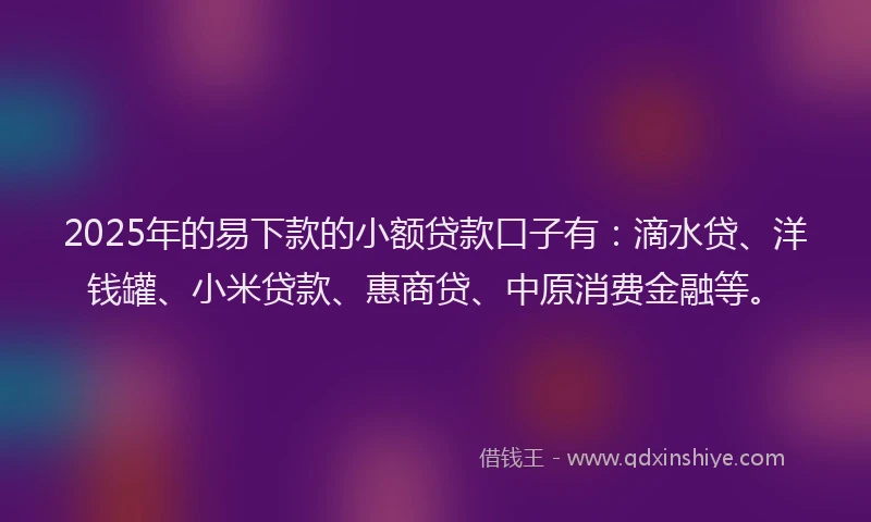2025年的易下款的小额贷款口子有：滴水贷、洋钱罐、小米贷款、惠商贷、中原消费金融等。