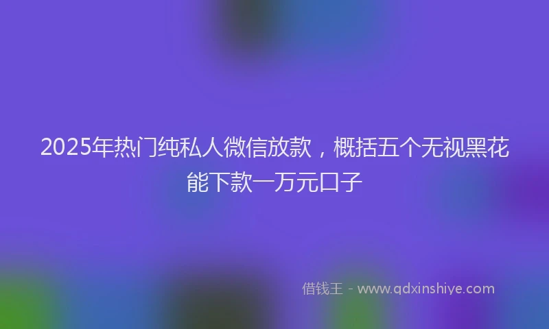 2025年热门纯私人微信放款，概括五个无视黑花能下款一万元口子