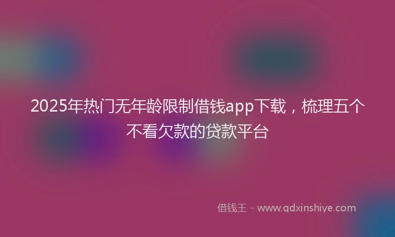 2025年热门无年龄限制借钱app下载，梳理五个不看欠款的贷款平台