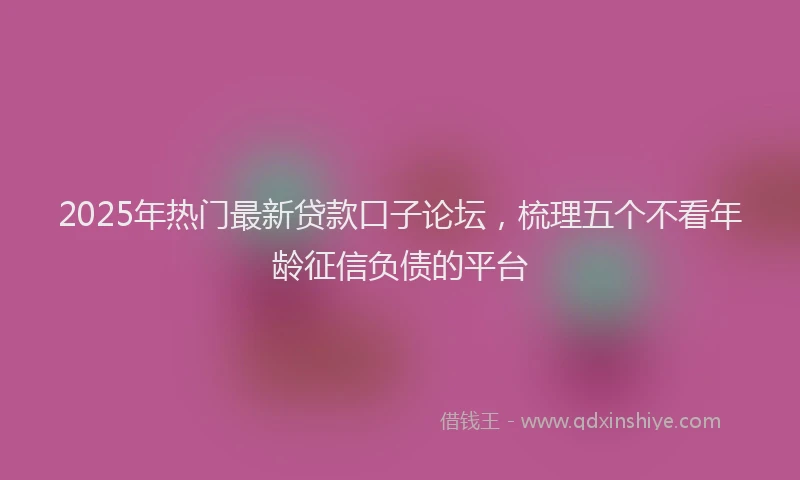 2025年热门最新贷款口子论坛，梳理五个不看年龄征信负债的平台