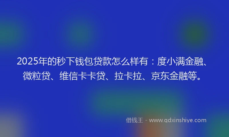 2025年的秒下钱包贷款怎么样有：度小满金融、微粒贷、维信卡卡贷、拉卡拉、京东金融等。