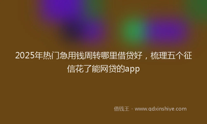 2025年热门急用钱周转哪里借贷好，梳理五个征信花了能网贷的app
