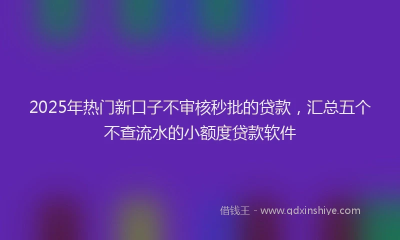 2025年热门新口子不审核秒批的贷款，汇总五个不查流水的小额度贷款软件